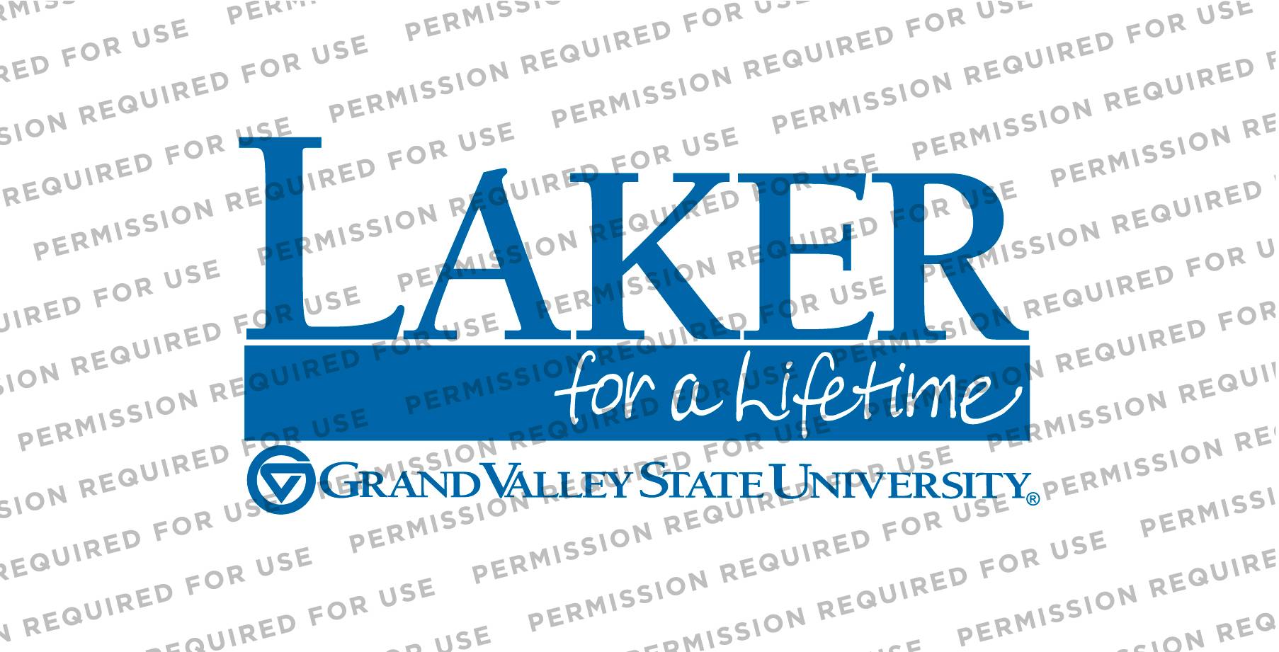 A blue Laker for a Lifetime type treatment against a white background.